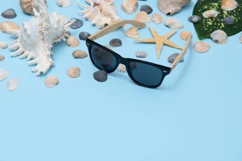 Flat lay. Top view. Frame of shells of various kinds on a blue background. Se Foto stock