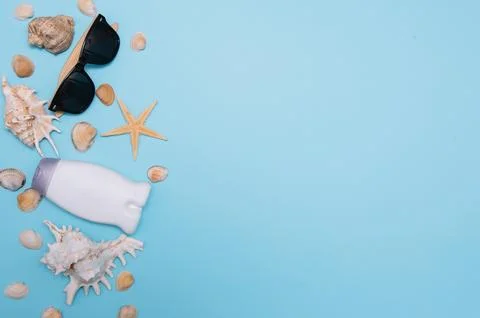 Flat lay. Top view. Frame of shells of various kinds on a blue background. Se Stock Photos