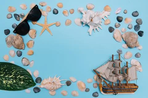Flat lay. Top view. Frame of shells of various kinds on a blue background. Se Stock Photos