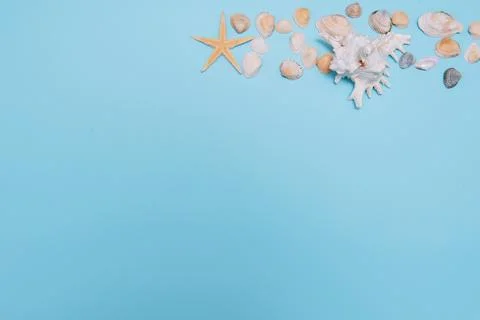 Flat lay. Top view. Frame of shells of various kinds on a blue background. Se Stock Photos
