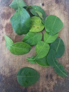 Flat Lay Top View of Kaffir Lime Leaves on Wooden Board Stock Photos