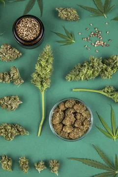 Flat lay, Top view of marijuana leaves and cannabis buds, cbd concept Stock Photos