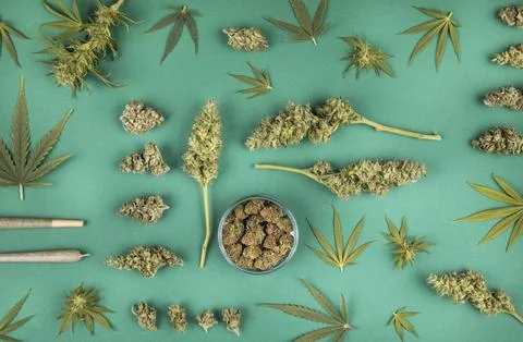 Flat lay, Top view of marijuana leaves and cannabis buds, cbd concept Stock Photos