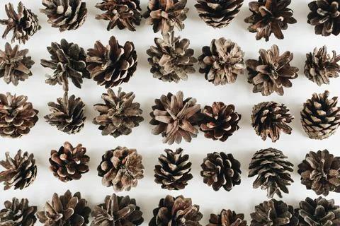 Flat lay, top view of pine cones. Winter pattern. Stock Photos