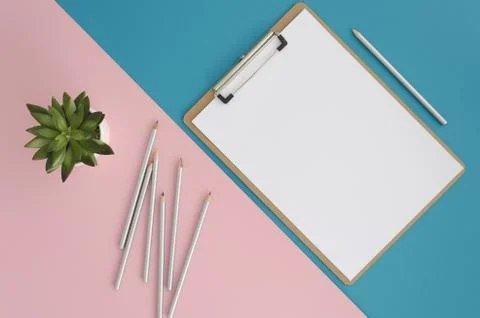 Flat lay, top view succulent, clipboard and silver pencils on blue and pink two Stock Photos