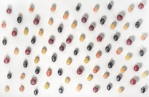 Flat lay trendy seamless pattern with different grape berries like backgrou.. Stock Photos