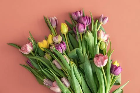 Flat lay, tulips on a colored background. Foto stock