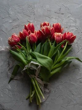 Flat lay tulips Stock Photos