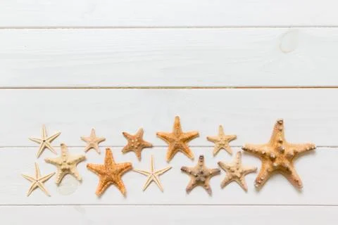 Flat lay of various seashell and starfish on white wooden table, top view. Co Stock Photos