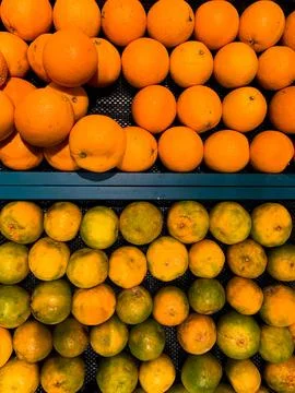Flat Lay of Various Types of Oranges in a Basket at a Supermarket Stock Photos