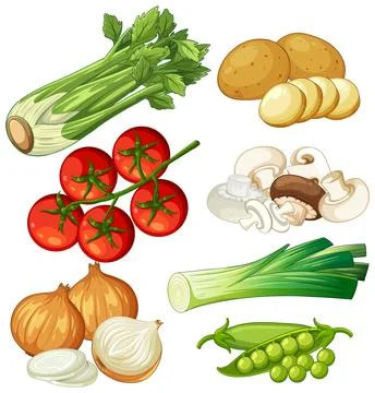Flat Lay Vector Illustration of Fresh Raw Soup Vegetables and Ingredients Stock Illustration