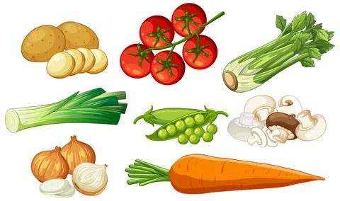 Flat Lay Vector Illustration of Fresh Raw Soup Vegetables on White Stock Illustration