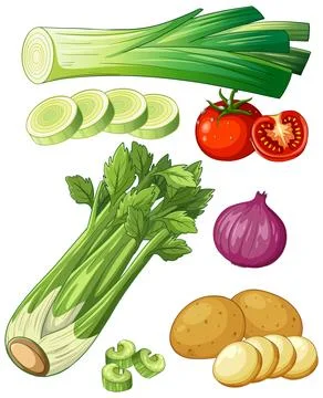 Flat Lay Vector Illustration of Fresh Soup Vegetables and Ingredients Stock Illustration