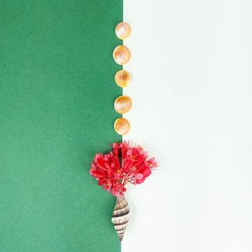Flat Lay of Vibrant Red and Pink Begonias in Shell with Copy Space. 库存照片