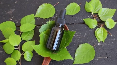 Flat lay view of Birch tree Betula leaf tincture. Stock Footage 340146849