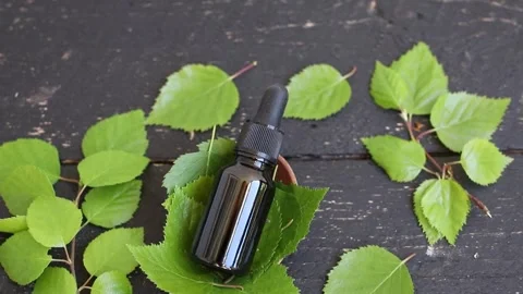 Flat lay view of Birch tree Betula leaf tincture. Stock Footage 340146904