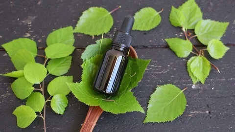 Flat lay view of Birch tree Betula leaf tincture bottle. Stock Footage 340146907