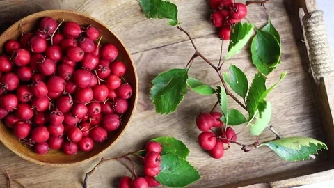 Flat lay view of fresh common hawthorn berries in bowl. Stock Footage 312546798