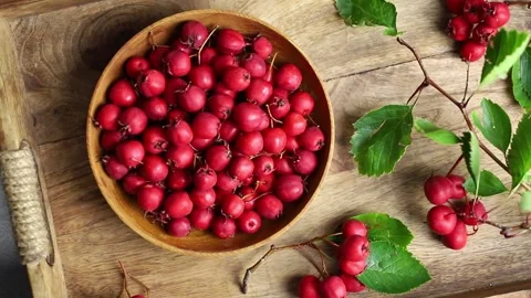 Flat lay view of fresh Crataegus curvisepala, Crataegus monogyna. Stock Footage 312546796
