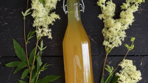 Flat lay view of homemade Meadowsweet Filipendula ulmaria flowers syrup. Stock Footage 313937493