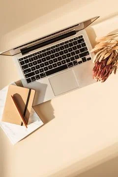 Flat lay view of laptop, protea flower and notebook. Minimal girl boss blog w Photos