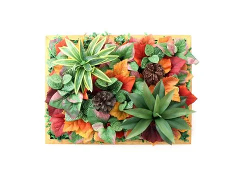 Flat lay view of wooden frame with beautiful floral flower and green leaves.. Stock Photos