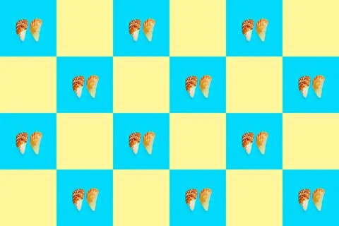 Flat Lay wallpaper background image of coastal seashells on a checkered backg Stockfoto's