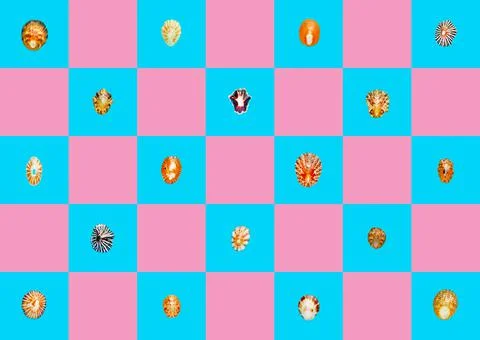 Flat Lay wallpaper background image of coastal seashells on a checkered backg Stockfoto's