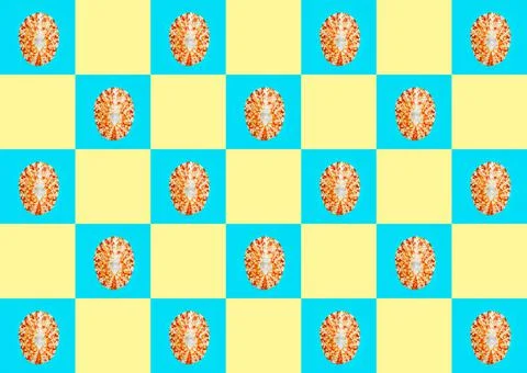 Flat Lay wallpaper background image of coastal seashells on a checkered backg Stock Photos