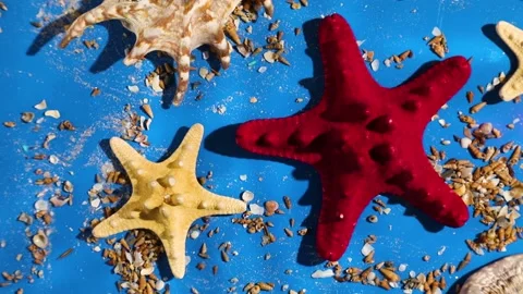 Flat lay of water wave background with starfish, seashells on blue water texture Stock Footage 196280144