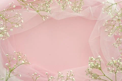 Flat lay wedding concept. Frame made of gypsophila and white tulle on pink Stock Photos