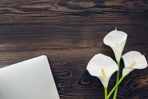 Flat lay white calla flowers and laptop on wooden background, top view. 写真素材