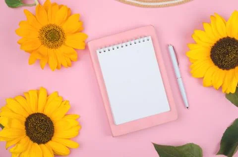 Flat lay of workspace desk, notepad and sunflower on pink background Stock Photos