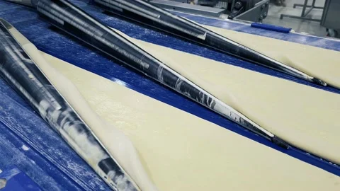 Flat layer of dough on moving conveyor belt prepared for making buns. Stock-Footage 168056862
