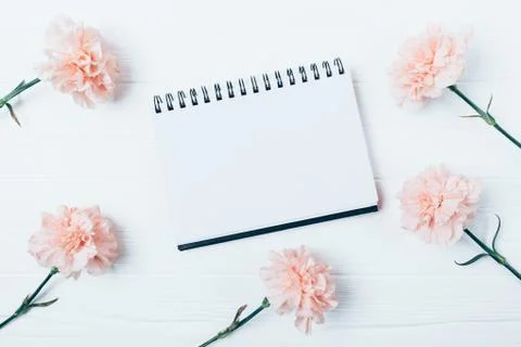 Flat layout of blank notepad among pink flowers 库存照片