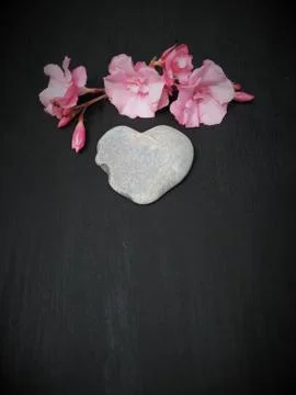 Flat layout, top view, a stone in the shape of a heart with a stalk of chicor Stock Photos