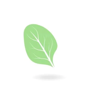 Flat leaf icons. Vector illustration. Stock Illustration