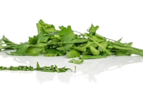 Flat leaf parsley isolated on white Stock Photos
