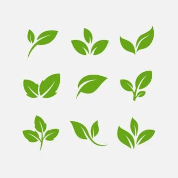 Flat leaves icon pack. Leaf vector illustration Stock Illustration