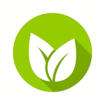 Flat leaves icons. Vector illustration. Illustrazione stock