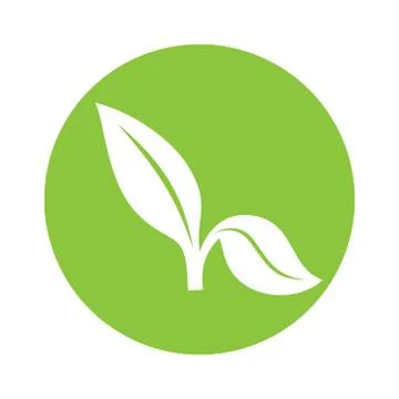 Flat Leaves Icons. Vector Leaf Icon Stock Illustration