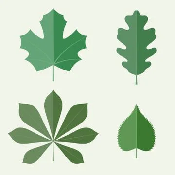 Flat leaves Stock Illustration