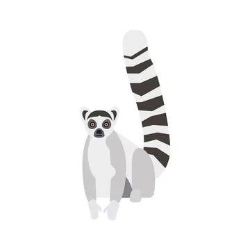 Flat lemur on white background Stock Illustration
