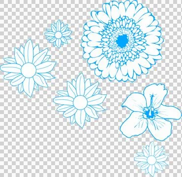 Flat line art flowers floating on transparent background, showing daisy gerbera Stock Illustration