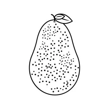 Flat line avocado. Vector illustration. Stock Illustration
