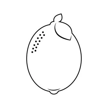 Flat line lemon. Vector illustration. Stock Illustration