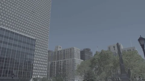 Flat LOG color profile ProRes HQ Daytime DX Establishing shot CV Jacob Javits Vidéo 83550485