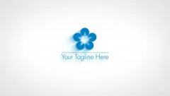 Flat Logo Reveal Stock After Effects