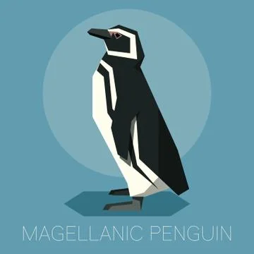 Flat Magellanic Penguin Stock Illustration