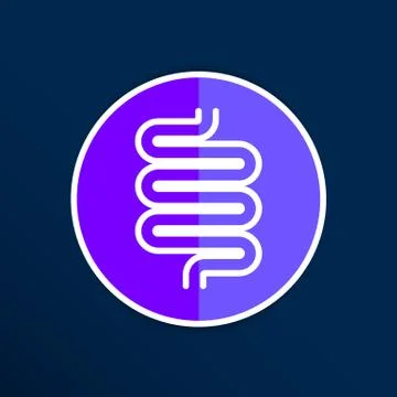 Flat modern design with shadow icons large intestine Stock Illustration